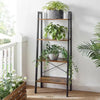 The Parikh Plant Bookcase Living Room Organizer Rack