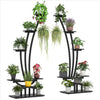 ARA Curved Plant Shelve Rack Decor