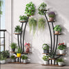 ARA Curved Plant Shelve Rack Decor