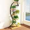 Heart Curved Plant Shelve Rack Decor