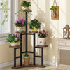 Engross Quinary Planter Shelve Organizer Stand Rack