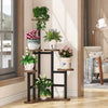 Engross Quinary Planter Shelve Organizer Stand Rack