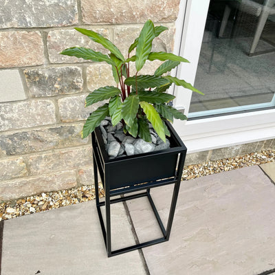 Zonula Indoor & Outdoor Metal Standing Square Planter